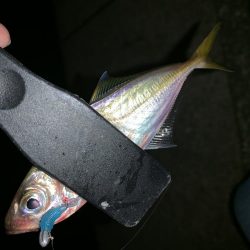 アーバンサイドアジング