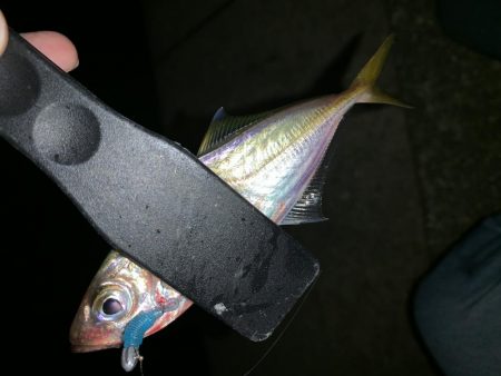 アーバンサイドアジング