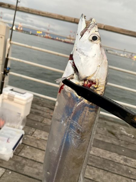 シーサイドコスモで夕練