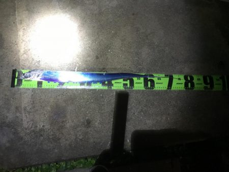 南港魚つり園遠征。