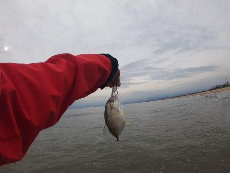 津　白塚漁港周辺　サーフフィッシング　　