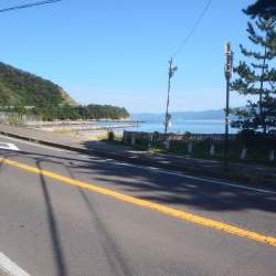 サゴシとハゼと