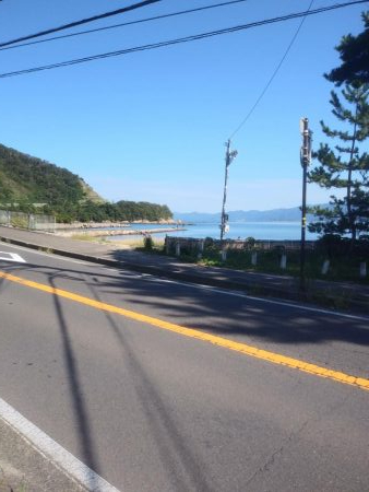 サゴシとハゼと