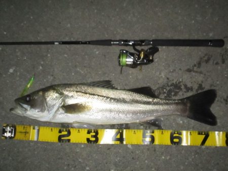 台風前のシーバス釣行