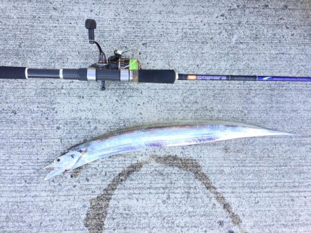 やっぱソルパラ