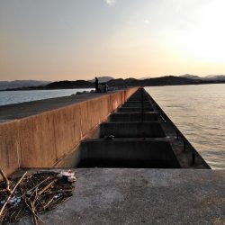 フカセが一番・・面白いです・・