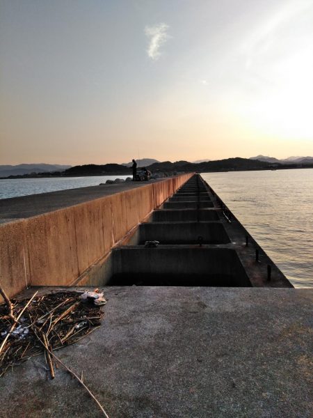 フカセが一番・・面白いです・・