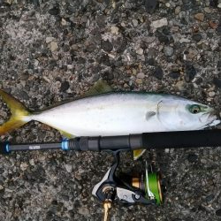 久々のショアジギング