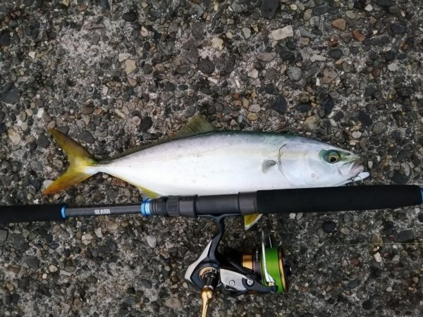 久々のショアジギング