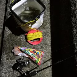 1時間だけサビキ