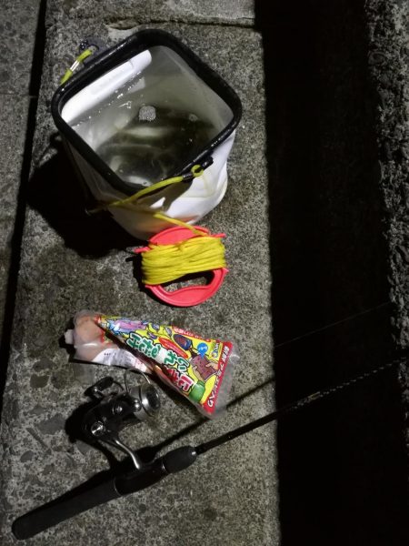 1時間だけサビキ