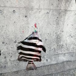 一年ぶりのアジュール