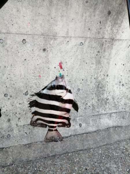 一年ぶりのアジュール