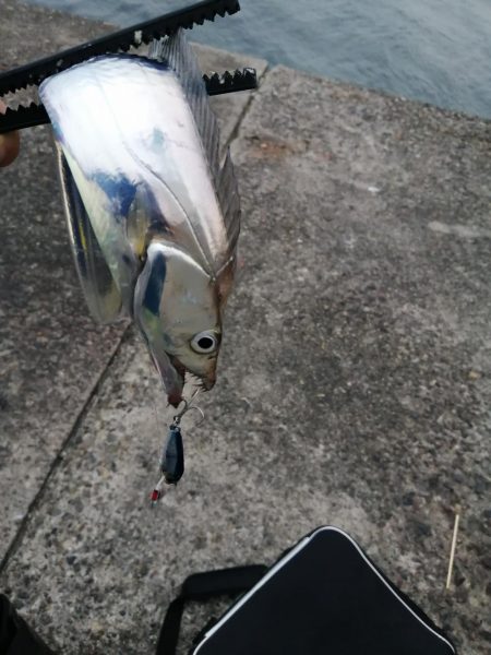 台風前のショアジギング