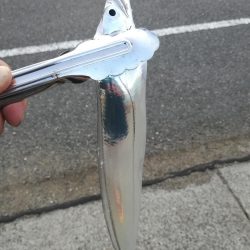 台風後のタチウオ探して