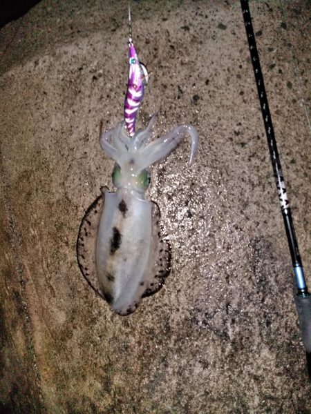 サイズが伸びず