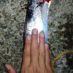 今季自己記録更新