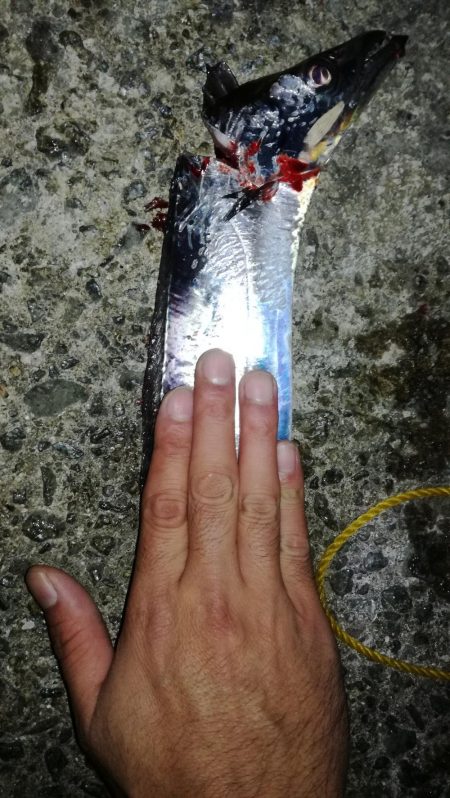 今季自己記録更新