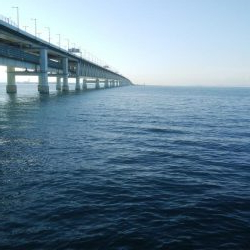 ワインドとアジング