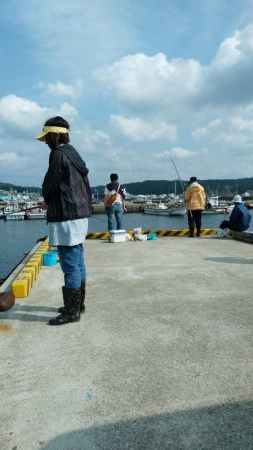 イワシを求めて