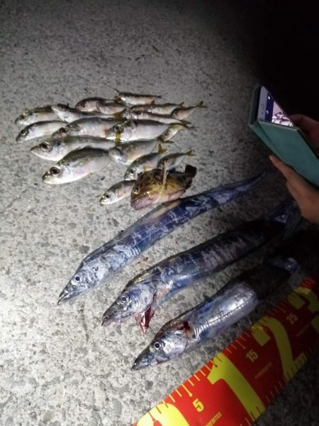 いい釣りでした