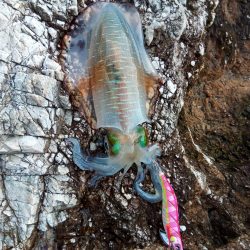 テトラランガン