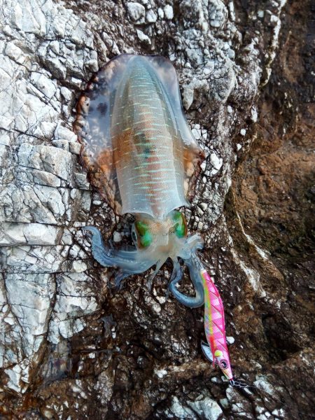 テトラランガン