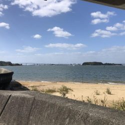 岡山市小串の砂浜でキスとハゼ