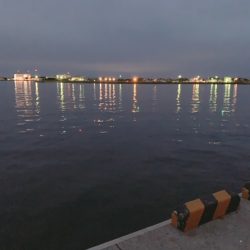 現着、急ぎの一投目からヒットも日本シリーズ４連敗