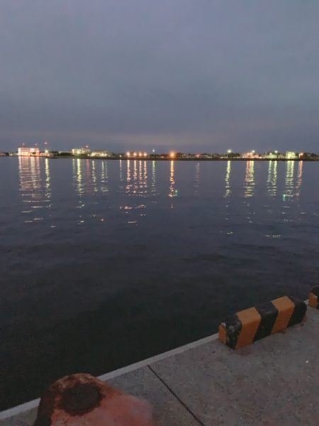 現着、急ぎの一投目からヒットも日本シリーズ４連敗