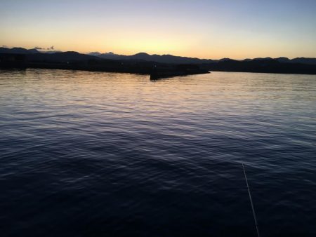 アジ12匹、メッキ1匹