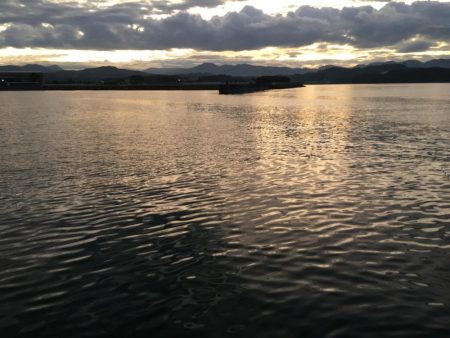 アジ、セイゴ、サバ、タイ