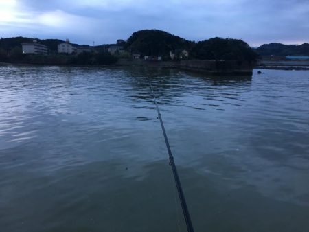 アジ78匹、ボラ1匹（50㎝）