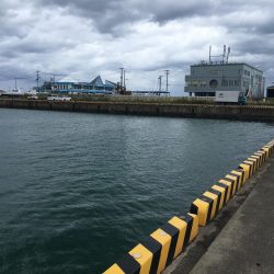 25㎝含むアジ6匹