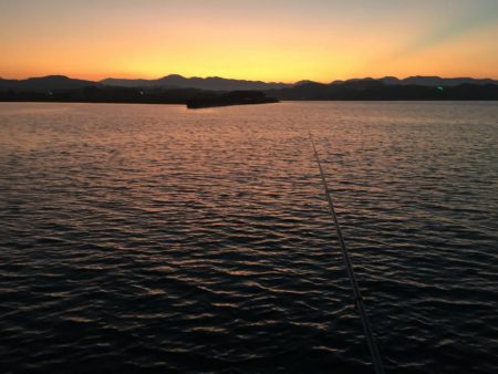 中型アジ13匹（最大27㎝）、コアジ26匹、ヘダイ26㎝1匹