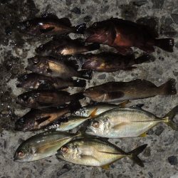 秋のエビ撒き釣り　ハネの気配は無し