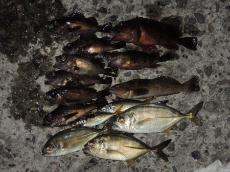 秋のエビ撒き釣り　ハネの気配は無し