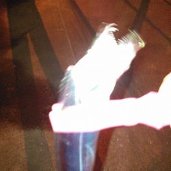 タチウオテンヤ