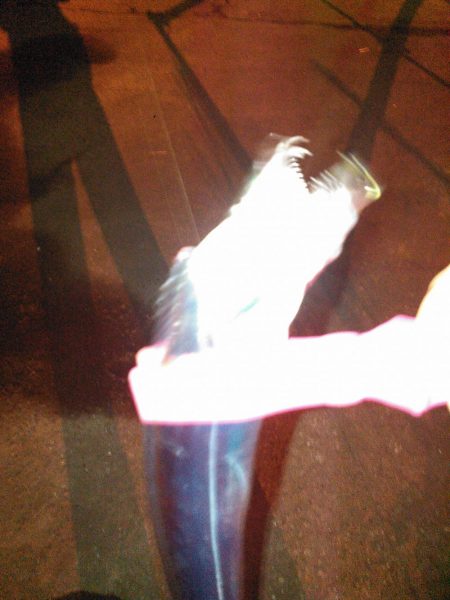 タチウオテンヤ