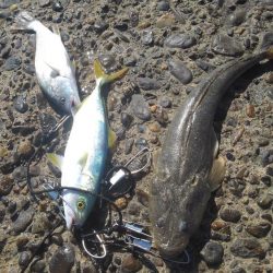 もう浮気はしませんm(._.)m