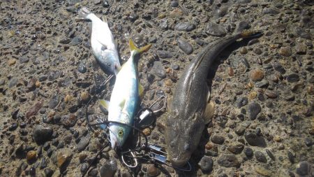 もう浮気はしませんm(._.)m