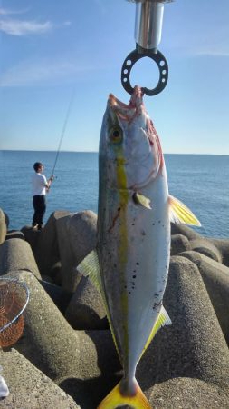 うわさ通り(・_・?)