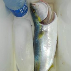 何とか、一匹です!