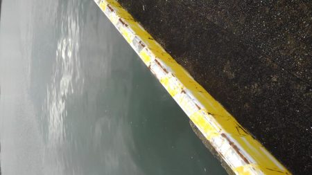 ミノーで一撃！