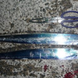 二刀流で太刀2本