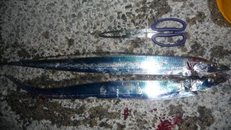 二刀流で太刀2本