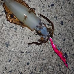 なんとかボウズ逃れ