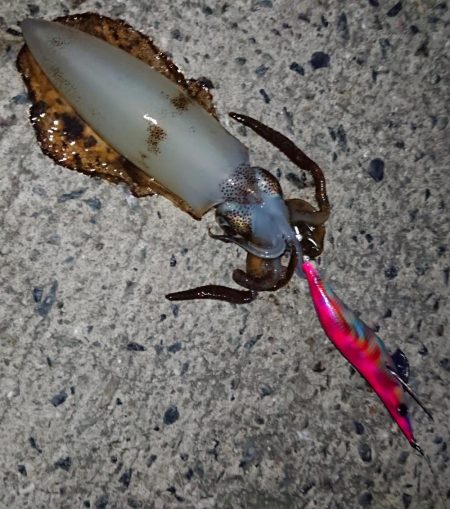 なんとかボウズ逃れ