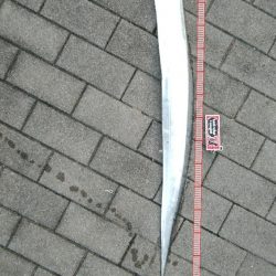 ついにドラゴン