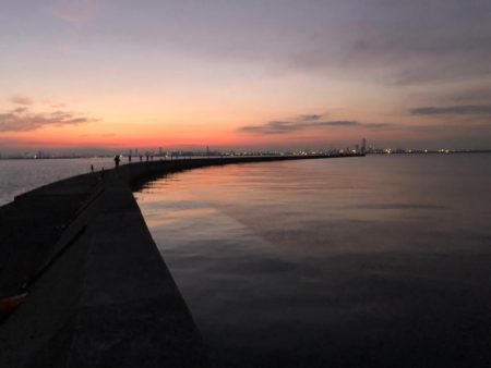 武庫一でハマチ、サゴシ